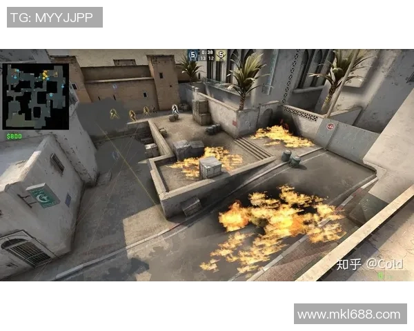 CSGO战术解析：深入探讨LNG在阵地战中的策略与执行